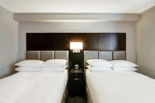 DoubleTree by Hilton Toronto Downtown image 2